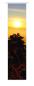 Preview: Sonnenuntergang im Winter, Schiebevorhang mit Wintermotiv